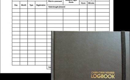 Logbook: Cabin Crew Paper