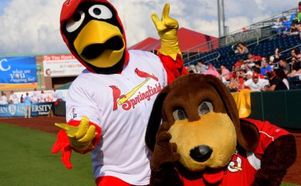 The Springfield Cardinals