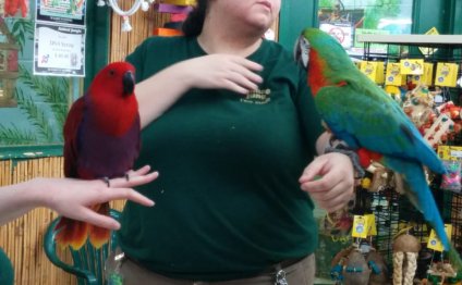 Virginia Beach Pet stores